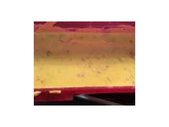 Nacosauce / Käsedip