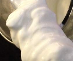 Aioli - original weiße spanische Aioli ohne Ei