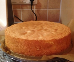 Bisquitboden - den besten den ich kenne