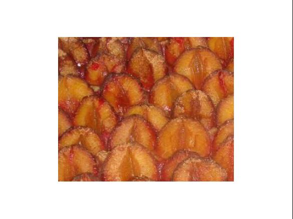 Oma Lilos Pflaumenkuchen 