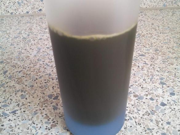 Grüner Saft, Wildkräuter Saft, Gemüse Saft - Schnell & einfach, detox