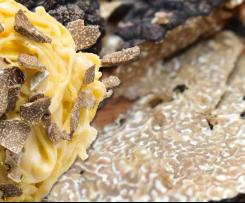 Pasta mit frischen Trüffel