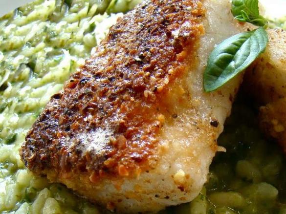 Wolfsbarschfilet mit Basilikum-Risotto und Paprikaschaum