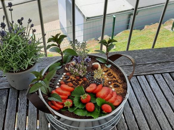 Blumenerde mit Erdbeeren