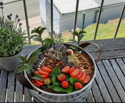 Blumenerde mit Erdbeeren