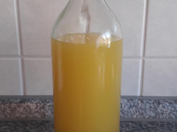 Zaubertrank gegen Grippe für Erwachsene (Ingwersaft)