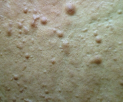 Rührteig für Obstboden / oder Blechkuchen wie meine Mama ihn macht