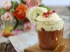 Karotten Cheesecake im Glas (super auch als Dessert!)