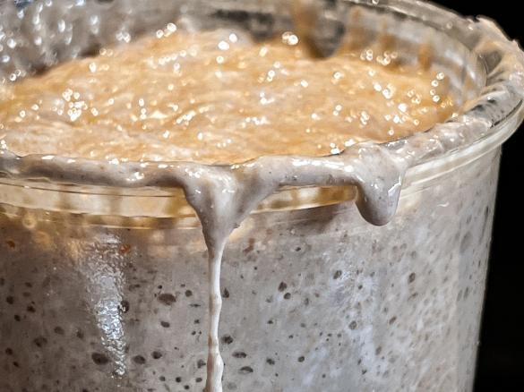 Dinkelsauerteig - für leckere Brötchen und Brote