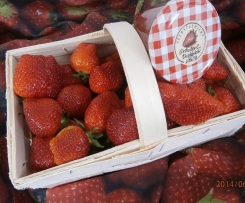 ERDBEER RHABARBERMARMELADE  VANILLETRAUM