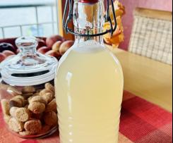 Zitronen-Ingwer-Saft (Immun-Booster)