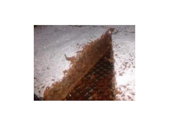 Tarta de Santiago - Mandelkuchen aus Galizien/Spanien