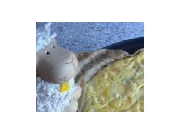 Tortilla original wie in Spanien / Varoma