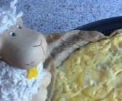 Tortilla original wie in Spanien / Varoma