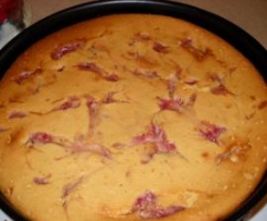 Käse-Kirsch-Kuchen
