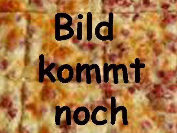Elsässer Flammkuchen