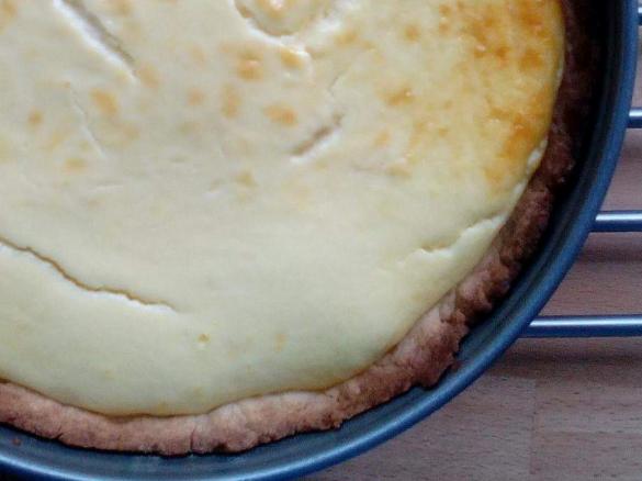 Rhabarberkuchen mit Quarkguss