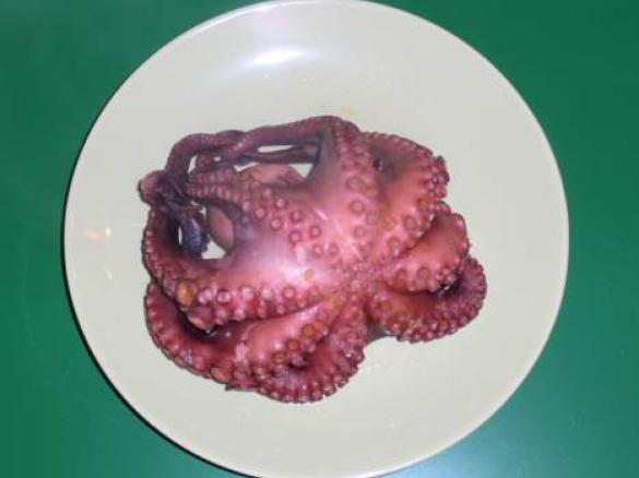 Pulpo kochen
