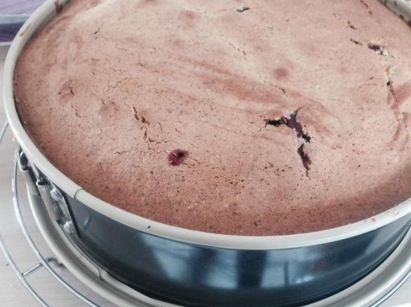 Nusskuchen mit Kirschpudding